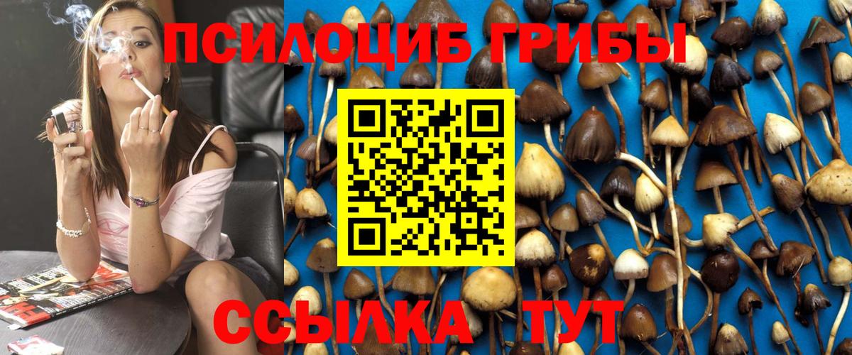 Псилоцибиновые грибы ЛСД  Вход с VPN  Асино 