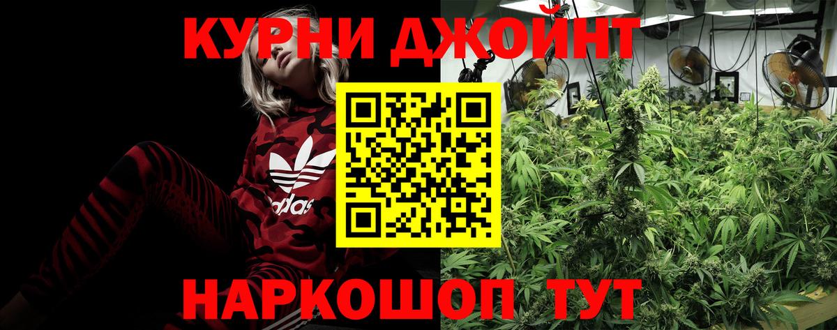 Бошки Шишки марихуана Асино
